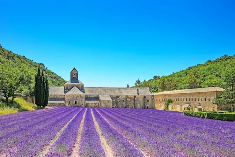 Abbaye de Sénanque